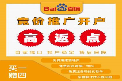 SEM托管代运营案例：精准营销策略